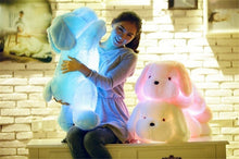 Load image into Gallery viewer, Luminous Plush Dog Toy with Colorful Glowing LED for Children
