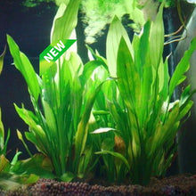 Load image into Gallery viewer, 1PCS Artificial Plastic Water Plant for Aquarium Decorations
