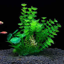 Load image into Gallery viewer, Artificial Plant for Aquarium Decor and Underwater Plants
