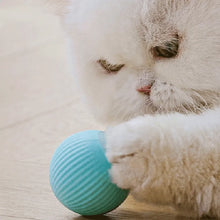 Load image into Gallery viewer, Self-Moving Cat Toys  with Electric Rolling Ball for Interactive Training
