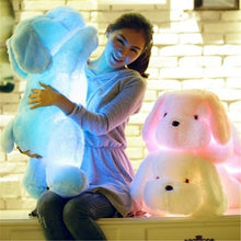 Load image into Gallery viewer, Luminous Plush Dog Toy with Colorful Glowing LED for Children
