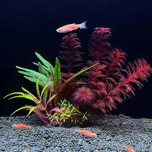 Load image into Gallery viewer, Artificial Plant for Aquarium Decor and Underwater Plants
