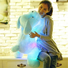 Load image into Gallery viewer, Luminous Plush Dog Toy with Colorful Glowing LED for Children
