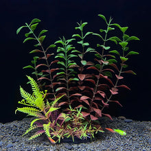 Load image into Gallery viewer, Artificial Plant for Aquarium Decor and Underwater Plants
