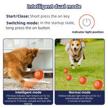 Load image into Gallery viewer, Smart Moving Ball Dog Toy with Interactive Electronic Bouncing Pet Toy
