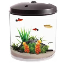 Load image into Gallery viewer, Aquarium with Nature Sounds LED Lighting Power Filter for 3.5-Gallon
