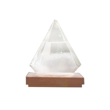 Load image into Gallery viewer, Storm Glass Bird-Shape Weather Forecaster Station Crystal Droplet Liquid Barometer
