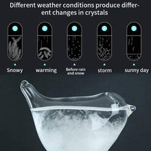 Load image into Gallery viewer, Storm Glass Bird-Shape Weather Forecaster Station Crystal Droplet Liquid Barometer
