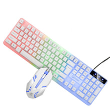 Load image into Gallery viewer, Computer Keyboard Mouse Set Backlight with Quick Response Wired Keyboard
