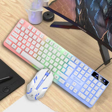 Load image into Gallery viewer, Computer Keyboard Mouse Set Backlight with Quick Response Wired Keyboard
